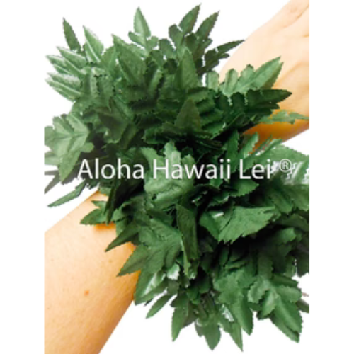 Leather Fern Wrist or Ankle Band – 12 inch - Beautiful Hawaii Gifts / Nani Makana