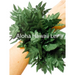 Leather Fern Wrist or Ankle Band – 12 inch - Beautiful Hawaii Gifts / Nani Makana