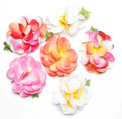 Plumeria Tutu Hair Clip - Asst (Pack of 6) - Beautiful Hawaii Gifts / Nani Makana