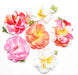Plumeria Tutu Hair Clip - Asst (Pack of 6) - Beautiful Hawaii Gifts / Nani Makana