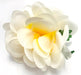 Plumeria Tutu Hair Clip - Yellow/White (Pack of 6) - Beautiful Hawaii Gifts / Nani Makana